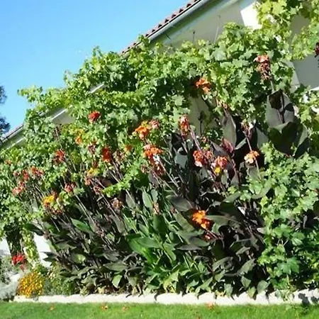 Finca La Gavia