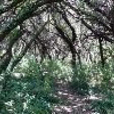 Finca La Gavia * La Calzada de Béjar