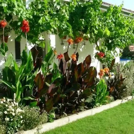 Finca La Gavia La Calzada de Béjar